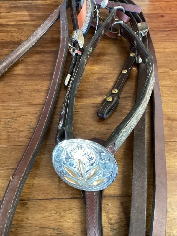 Dale Chavez Show Headstall w Reins & Breast Collar