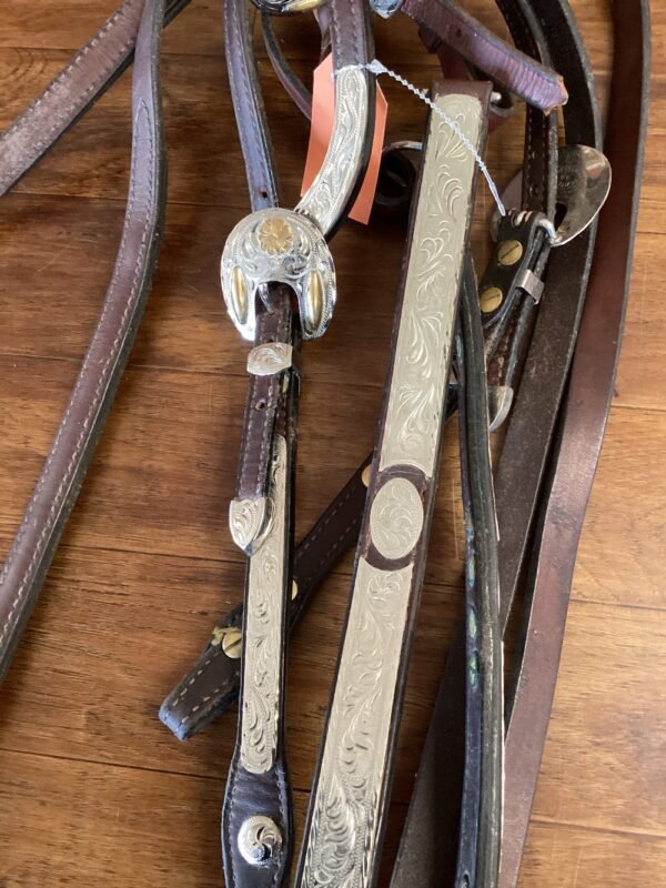 Dale Chavez Show Headstall w Reins & Breast Collar - Image 2