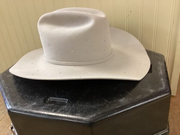 Greeley Hat Works Light Gray/Silverbelly Cowboy Hat with Crystals - Image 4