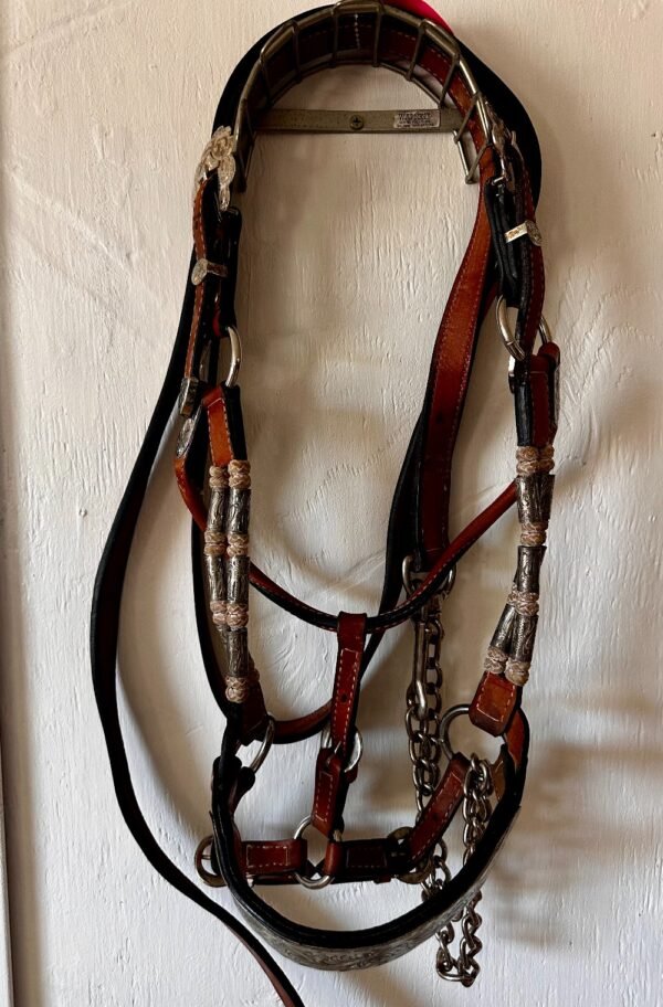 Dale Chavez Show Halter with Rawhide and Lead - Image 4