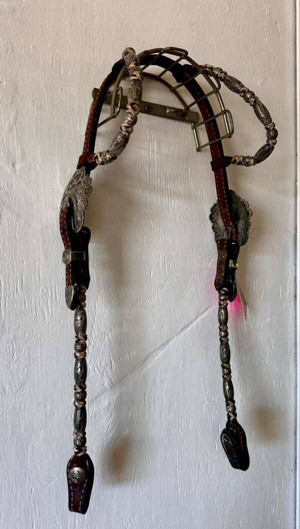 Dale Chavez 2 Ear Headstall with Silver and Rawhide