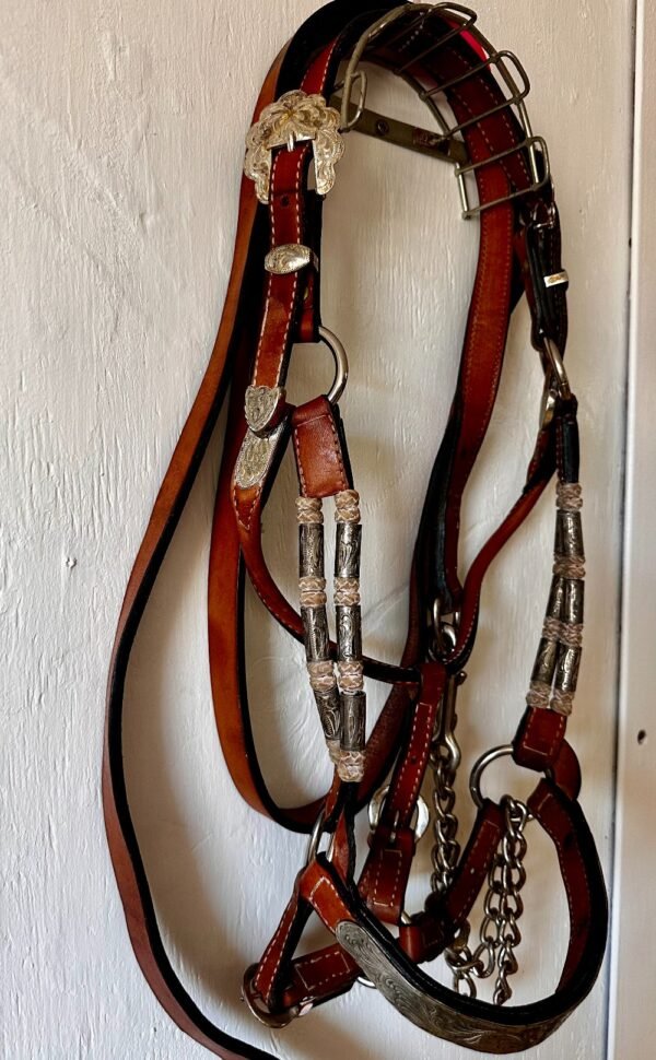 Dale Chavez Show Halter with Rawhide and Lead