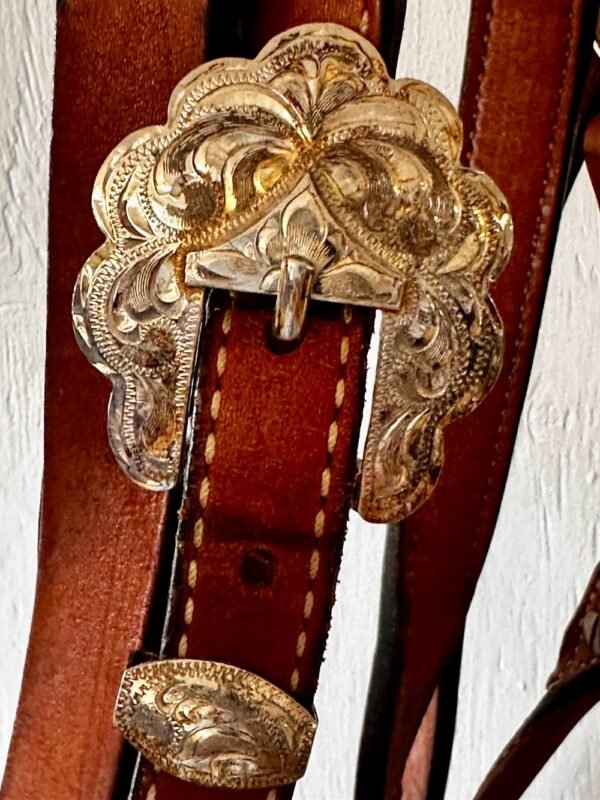 Dale Chavez Show Halter with Rawhide and Lead - Image 5